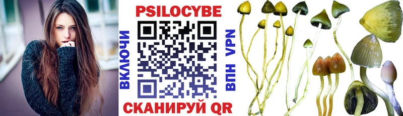 где купить наркоту  Бокситогорск  Галлюциногенные грибы Magic Shrooms 